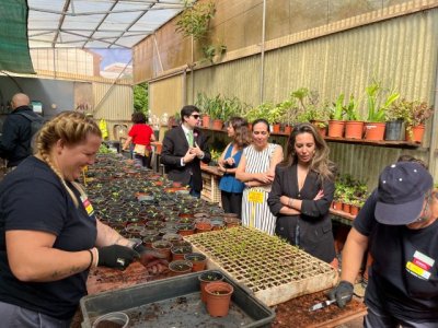 El SCE impulsa un estudio del impacto de la econom&iacute;a social en el desarrollo local de los ayuntamientos