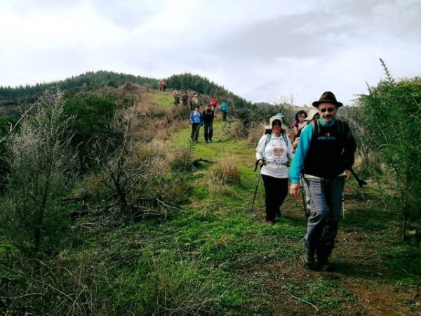 Ruta de senderismo de plantas medicinales en Valleseco