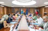 El Gobierno encarga un informe para cuantificar los daños causados por el incendio de Tenerife