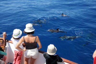 La Gomera cierra una temporada de invierno hist&oacute;rica con m&aacute;s gasto tur&iacute;stico y el 95% de ocupaci&oacute;n