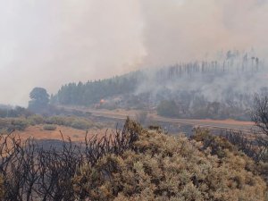 Controlado el incendio declarado en Tejeda el pasado martes