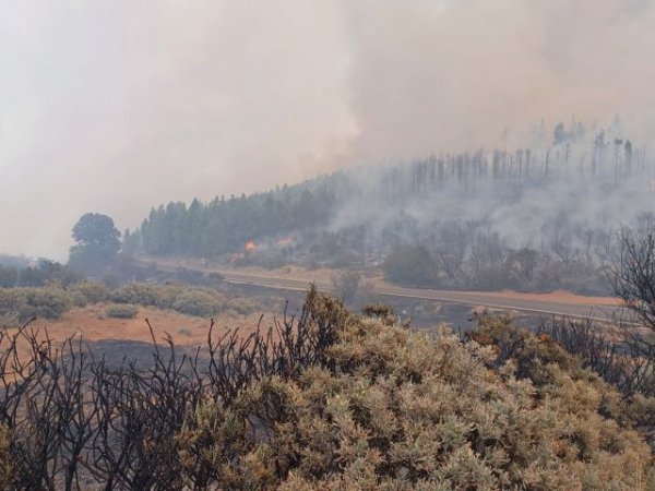 Controlado el incendio declarado en Tejeda el pasado martes