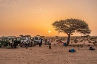 Estreno de &lsquo;Huellas&rsquo; de Tarek Ode, el primer documental sobre las manifestaciones rupestres de Canarias