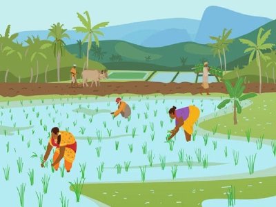 No condene a India por poner a su gente primero al restringir temporalmente algunas exportaciones de arroz