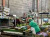 La Gomera: El Cabildo cierra este viernes el plazo para acogerse a los incentivos dirigidos al fomento del sector primario