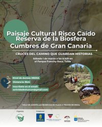 Senderismo: De sendero por la Cumbre de Gran Canaria y la Cruz de piedra (o de Juan Franc&eacute;s)
