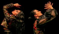 Antonio de Ver&oacute;nica y Saray Cort&eacute;s recorren la historia del flamenco en el Guiniguada