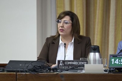 Rodríguez presenta ante el Congreso de los Diputados el trabajo del Gobierno de Canarias con la infancia