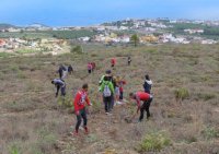 Arucas cuenta con 200 plantas canarias nuevas, plantadas por simpatizantes de Activat y La Vinca EeA