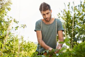 El Gobierno canario ofrece 56 cursos profesionales en 2024 a través de las Escuelas de Capacitación Agraria
