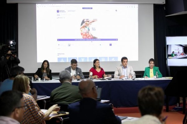 Comercio de Canarias impulsa una nueva ley adaptada a los nuevos negocios y más flexible con las aperturas