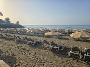 Turismo de Gran Canaria expresa su preocupaci&oacute;n por la presencia de roedores y basura en playas de San Bartolom&eacute; de Tirajana