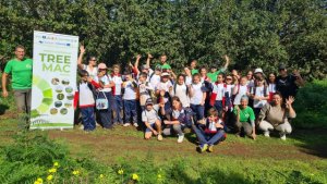 El proyecto TREEMAC cierra el año 2022 con la plantación de más de 10.000 especies endémicas en Gran Canaria