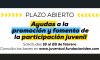 El Gobierno de Canarias convoca ayudas para impulsar la participaci&oacute;n juvenil y fomentar el empleo joven