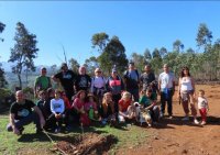 Plantados 225 árboles nuevos en Firgas y Guía gracias a las Repoblaciones Forestales en Familia