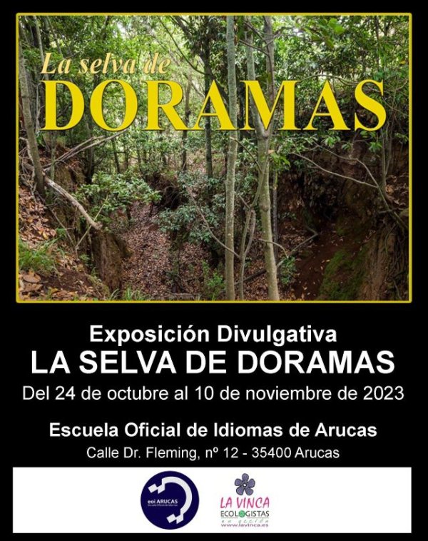 La Exposición Divulgativa “La Selva de Doramas” se muestra en la E.O.I. Arucas