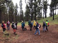 Tejeda: Ruta de Senderismo: Cruz de Tejeda - G&aacute;ldar