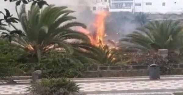 Arucas: La justicia condena a los tres adultos implicados en el incendio sucedido en agosto de 2018 en el Parque Municipal