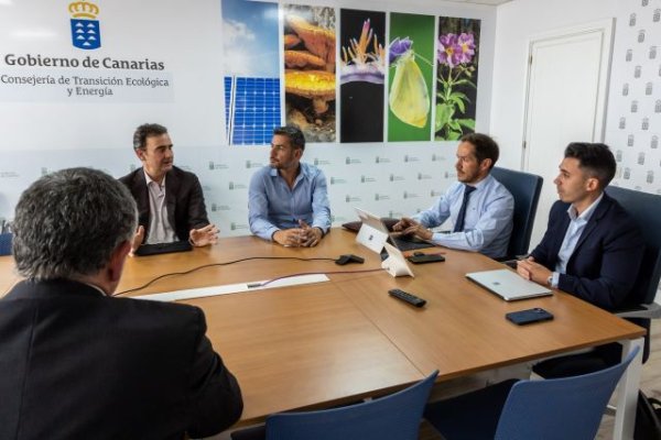Transición Ecológica y Endesa estudian acciones de contingencia ante posibles apagones este verano