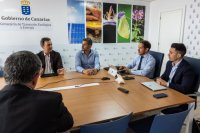 Transición Ecológica y Endesa estudian acciones de contingencia ante posibles apagones este verano