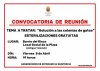 El Ayuntamiento de Agaete, continúa avanzando en el trabajo de control de las colonias felinas del municipio