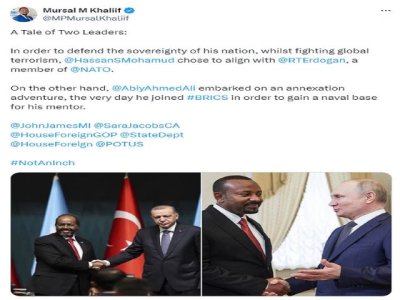 Artículo de opinión: &#039;Un miembro del Comité de Defensa de Somalia dio un giro antirruso al acuerdo de seguridad turco&#039;