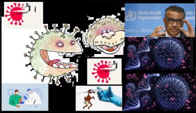 MEDIPUB. Crisis sanitaria. Situación a finales de julio del 2022. ¿Mono con Covid-19?