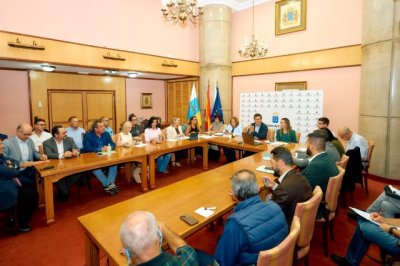 Gobierno y cabildos piden al Ministerio una reunión para asegurar la financiación y prorrogar la gratuidad en 2026