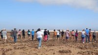 Ben Magec, Turc&oacute;n y Agonane celebran la negativa del Gobierno de Canarias ante el desatinado proyecto del Dreamland Studios de Fuerteventura
