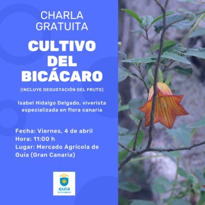 El Mercado de Gu&iacute;a acoge una charla sobre el cultivo del Bic&aacute;caro, planta end&eacute;mica de Canarias con gran potencial como fruta de temporada