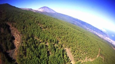 Canarias no es un cuartel: exigimos prevención forestal, no militarización