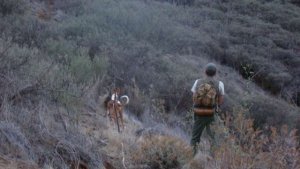 La Gomera: El Cabildo aprueba el calendario de caza con escopeta a partir del 21 de septiembre