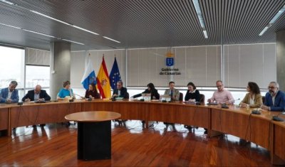 Transici&oacute;n Ecol&oacute;gica lidera la primera Mesa de la Energ&iacute;a E&oacute;lica Marina en Canarias para avanzar en su implantaci&oacute;n