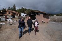 Transici&oacute;n Ecol&oacute;gica destina m&aacute;s de medio mill&oacute;n de euros al bosque productivo de Vilaflor
