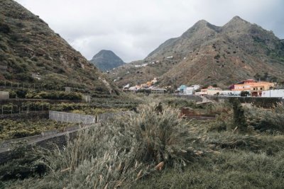 El Cabildo aprueba el proyecto para la restauraci&oacute;n de ecosistemas en barrancos de La Gomera