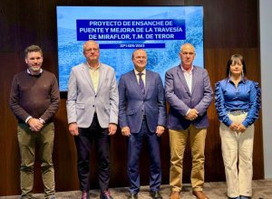 El Cabildo culmina el proyecto para el ensanche de la v&iacute;a y del puente de Miraflor, en la carretera de Teror