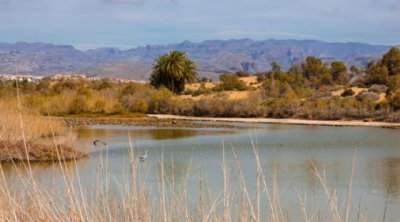 El proyecto europeo &lsquo;Natalie&rsquo; permitir&aacute; controlar la contaminaci&oacute;n de las aguas pluviales en Maspalomas