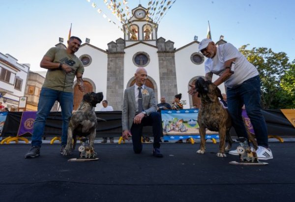 Valleseco acoge el II Concurso Monográfico del Presa Canario