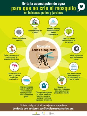 Sanidad mantiene activo el sistema de vigilancia para la detección mosquito Aedes albopictus en Tenerife