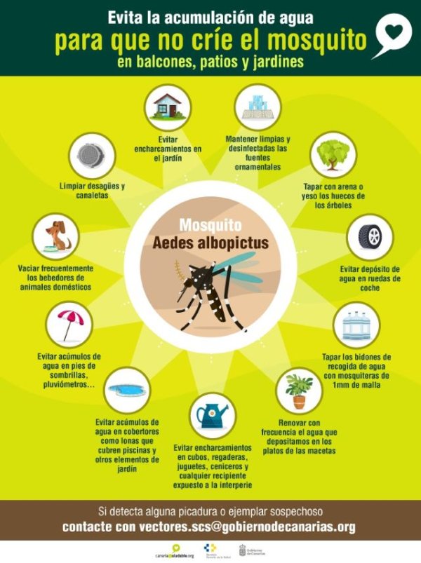 Sanidad mantiene activo el sistema de vigilancia para la detección mosquito Aedes albopictus en Tenerife