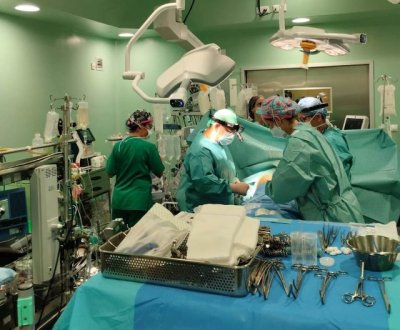 Los profesionales del SCS realizaron 209 trasplantes de órganos en 2025