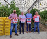 La Aldea de San Nicolás celebra un mes de mayo con el tomate como protagonista