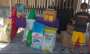 La Aldea: En torno a 300 kilos de alimentos para animales recogidos en la exposición automovilística