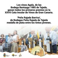 Tejeda: Los vinos Agala, de las Bodega Bentayga 1985, primeros premios en la XXVII Cata Insular de Vinos de Gran Canaria