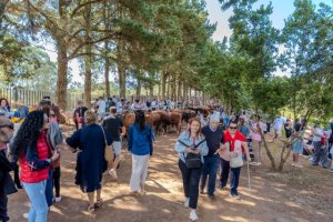 Récord de público en la Feria de Ganado de Valleseco, que reunió a más de 5.000 visitantes