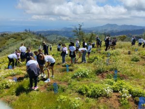 Foresta y TUI Care Foundation promueven la restauración de Monte Pavón con acciones de sensibilización dirigidas a la población local