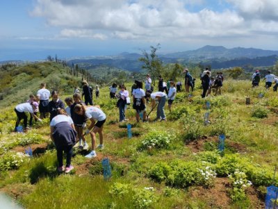 Foresta y TUI Care Foundation promueven la restauración de Monte Pavón con acciones de sensibilización dirigidas a la población local