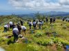 Foresta y TUI Care Foundation promueven la restauraci&oacute;n de Monte Pav&oacute;n con acciones de sensibilizaci&oacute;n dirigidas a la poblaci&oacute;n local