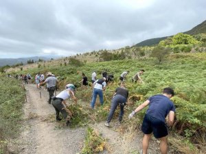 38 marines de la Armada estadounidense colaboran con la Fundación Foresta en labores de conservación en la cumbre grancanaria