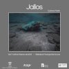 El 7 de febrero llega “Jallos” de Gustavo Martín al Centro Municipal de Cultura de Arucas